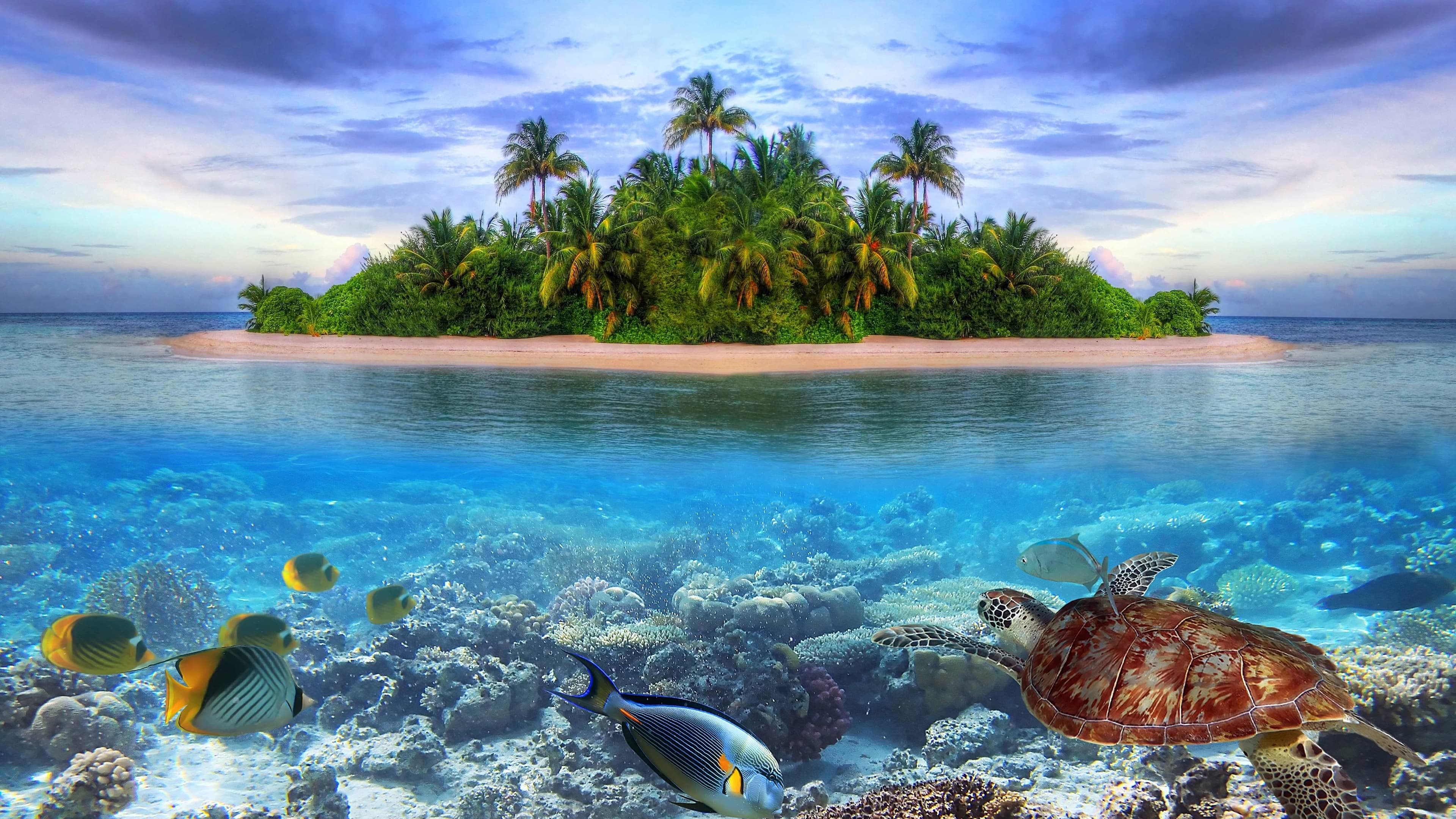 Tropical island scene
